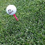 JUREX Cup 2009: prost�ed� a partne�i - Fronk-121947.JPG